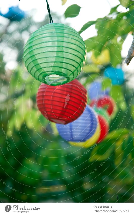 Poppig Freude Garten Feste & Feiern Geburtstag leuchten blau grün violett rot Fröhlichkeit Zusammensein Lebensfreude Leichtigkeit Sommer Party Lampion