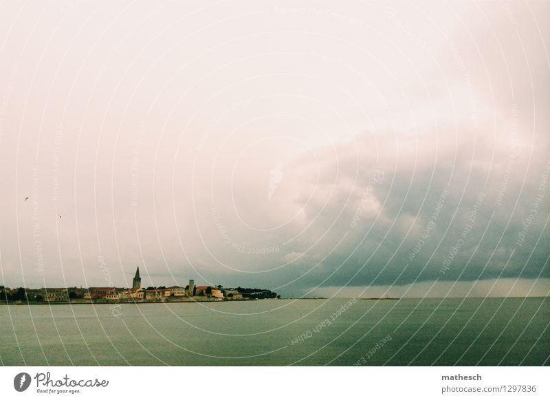 Porec Wasser Wolken Sommer Wetter Meer Kroatien Fischerdorf Altstadt Skyline Haus Kirche historisch blau braun grün rosa Vogel Farbfoto Außenaufnahme