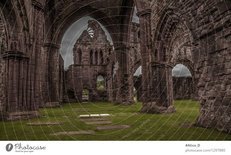 Sweetheart Abbey Architektur New Abbey Schottland Europa Dorf Kirche Ruine Kathedrale Sehenswürdigkeit Stein dunkel Glaube Endzeitstimmung "monument historisch