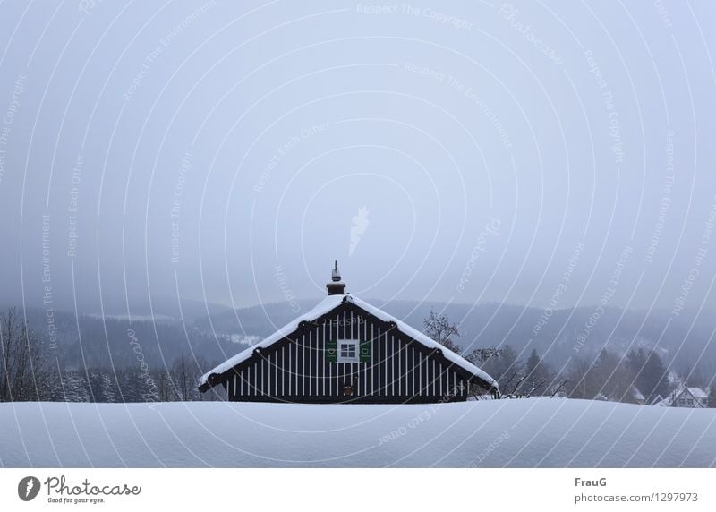 Abkühlung... Winter Haus Himmel Nebel Schnee Wald Fenster Dach Schornstein Fensterladen Holz Herz Klima geduckt Farbfoto Außenaufnahme Textfreiraum oben