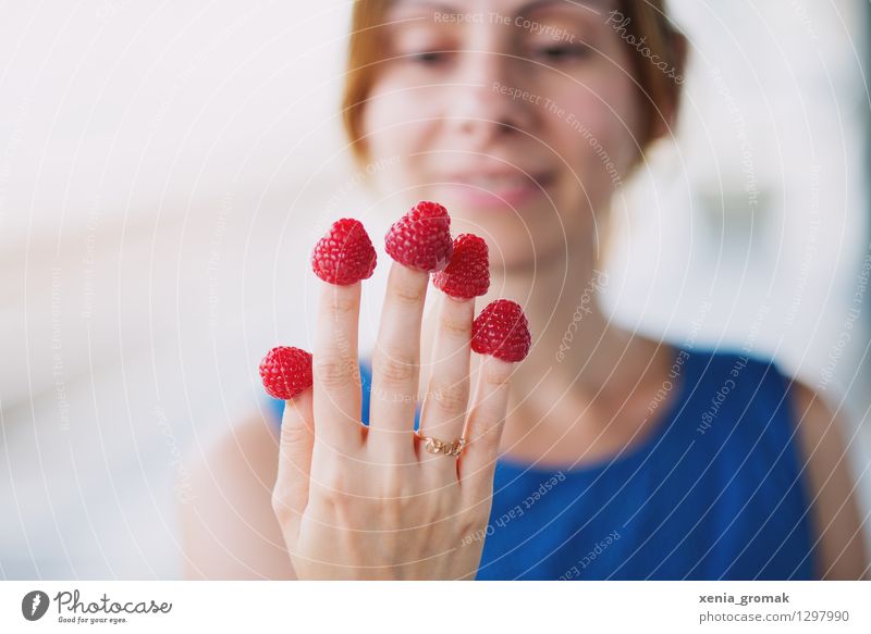 Himbeeren Lebensmittel Frucht Ernährung Picknick Bioprodukte Vegetarische Ernährung Diät Fingerfood Lifestyle Gesundheit Gesunde Ernährung Wellness harmonisch