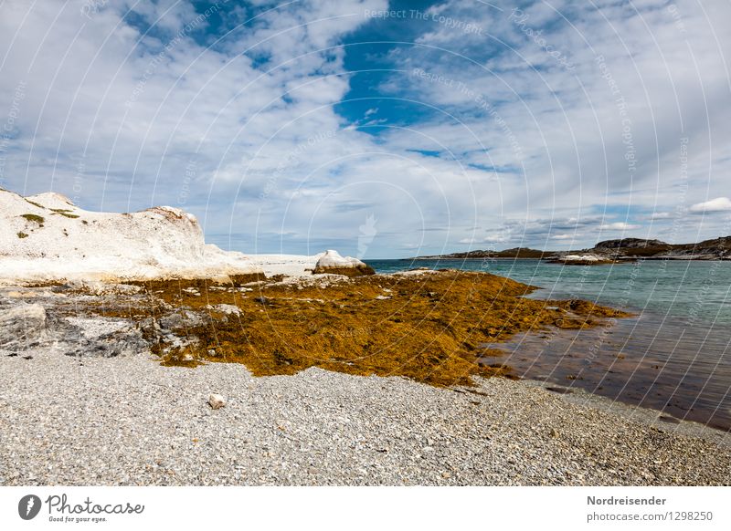 Trollholmsund Ferien & Urlaub & Reisen Ausflug Ferne Sommer Strand Meer Natur Landschaft Wasser Wolken Schönes Wetter Küste Schwimmen & Baden Freundlichkeit