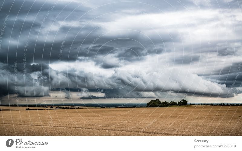 Wetter Natur Landschaft Pflanze Himmel Wolken Gewitterwolken Sommer schlechtes Wetter Feld bedrohlich unbeständig Horizont Ferne Wetterumschwung Eifel Farbfoto