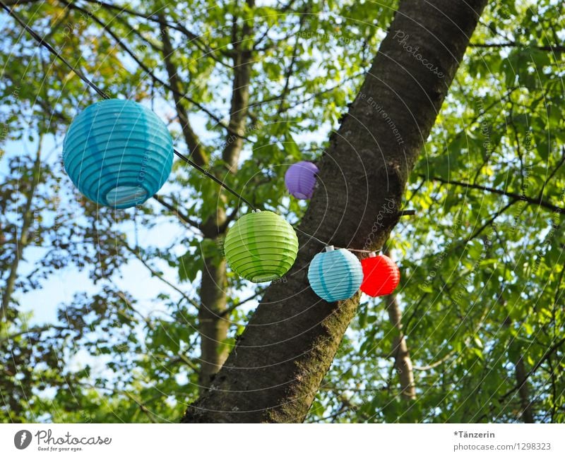 Gartenparty Freude Sommer Dekoration & Verzierung Party Feste & Feiern Natur Schönes Wetter Baum Erholung genießen Fröhlichkeit natürlich schön mehrfarbig