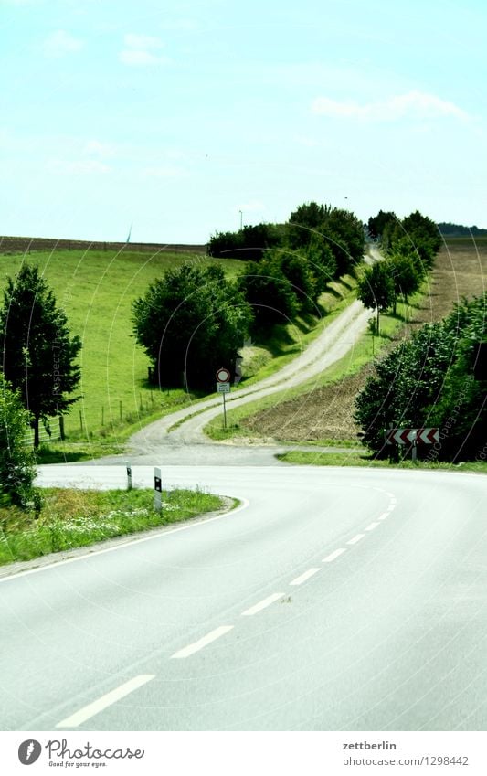 Landstraße Straße Fernstraße Wege & Pfade Fußweg Verkehr Kurve Menschenleer Mittelstreifen einmündung Straßenkreuzung Wegkreuzung Allee Baum Landschaft Horizont