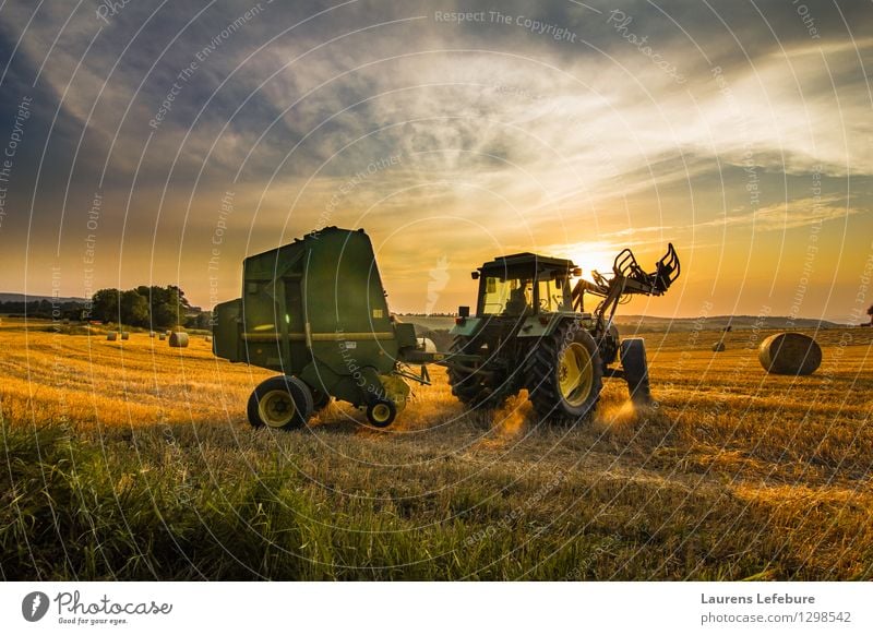 Landwirt Heu ernten Ernte Heuballen Bauernhof Landwirtschaft Forstwirtschaft Traktor 1 Mensch 45-60 Jahre Erwachsene Landschaft Nutzpflanze Business Erfahrung