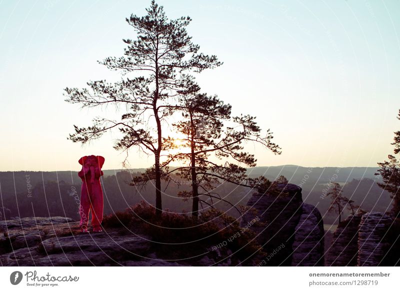 Ich seh nix... Kunst Kunstwerk Abenteuer ästhetisch verstecken Schüchternheit Elefant Karnevalskostüm rosa Eyecatcher Felsen Sächsische Schweiz Freude spaßig