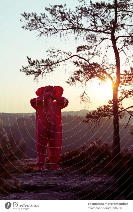 Was... Natur... Wo? Kunst Kunstwerk ästhetisch Elefant Felsen Sonnenaufgang Karnevalskostüm Sächsische Schweiz Unsinn Freude spaßig Spaßvogel Spaßgesellschaft