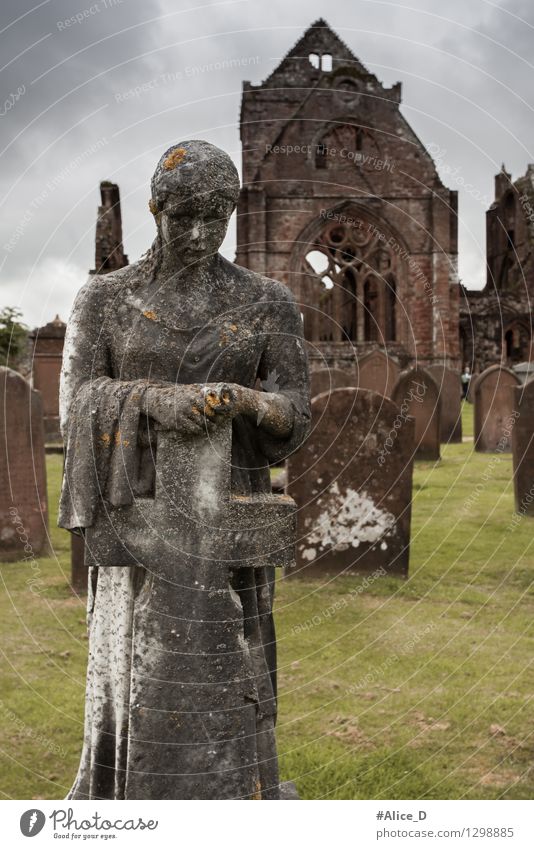 Sweetheart Abbey Friedhof Kunstwerk Skulptur Architektur Kultur New abbey Dumfries schottland Europa Kirche Ruine Park Bauwerk Fenster Sehenswürdigkeit Kreuz