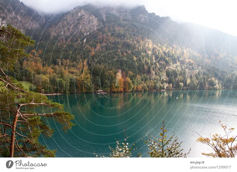 Spot an Ferien & Urlaub & Reisen Tourismus Ausflug Abenteuer Berge u. Gebirge Natur Landschaft Sonnenlicht Herbst Klima Wetter Schönes Wetter Nebel Wald Hügel