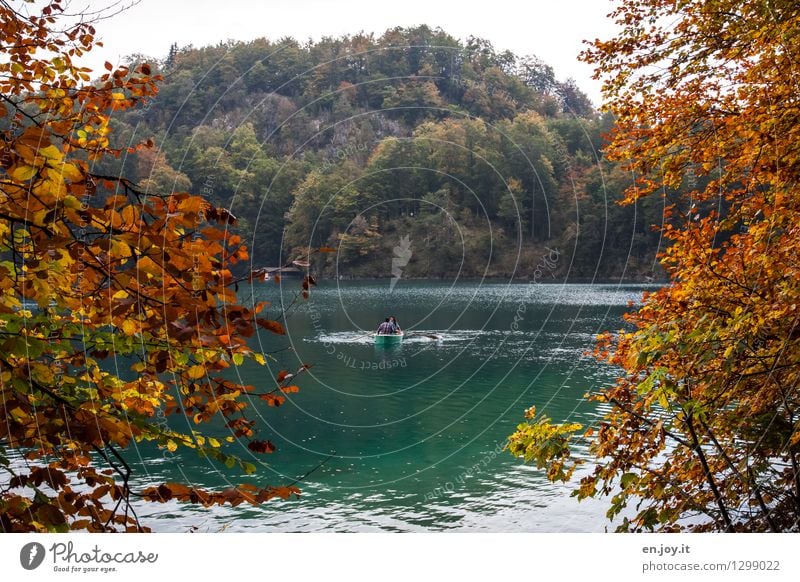 urlauben Freizeit & Hobby Ferien & Urlaub & Reisen Tourismus Ausflug 3 Mensch Landschaft Herbst Laubbaum Herbstlaub Herbstwald Blatt Zweige u. Äste Wald Hügel