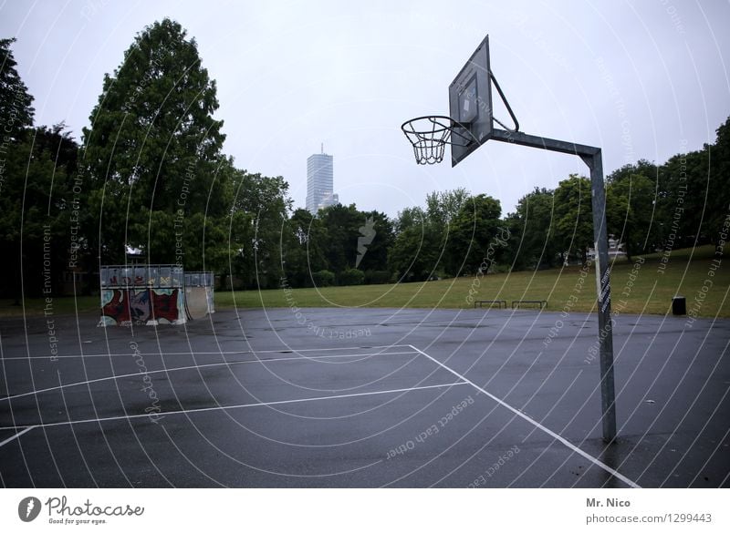 körbchengröße Q sportlich Fitness Freizeit & Hobby Sport Ballsport Sportstätten Halfpipe Baum Wiese Stadt Park grau Basketball Basketballkorb Basketballplatz