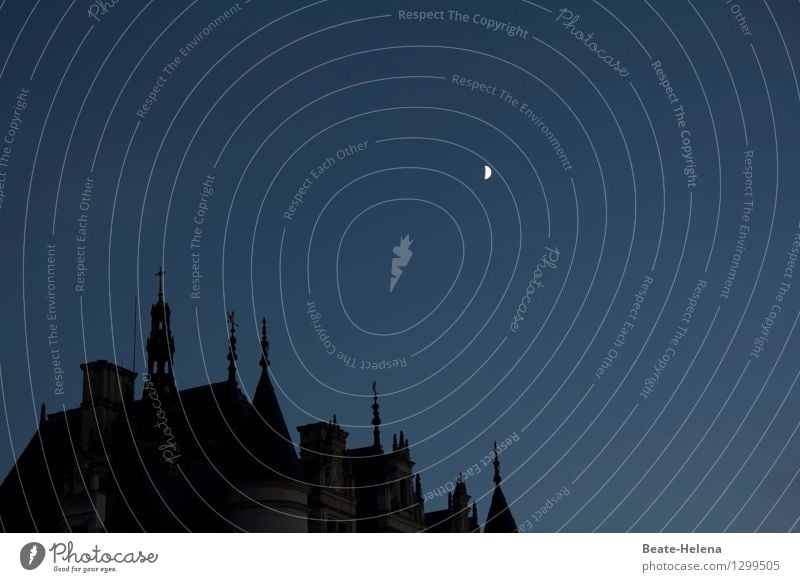 Traumschloss Lifestyle Reichtum Stil Häusliches Leben Traumhaus Nachtleben Mond Skyline Palast Burg oder Schloss Bauwerk Gebäude Architektur alt ästhetisch blau