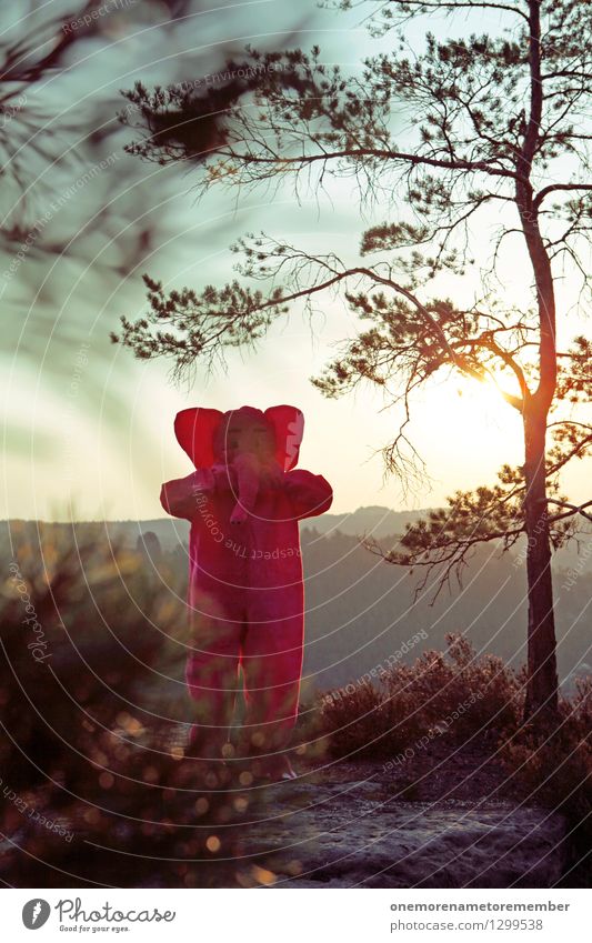 Sonnenelephant Kunst Kunstwerk ästhetisch verstecken Elefant rosa Sonnenstrahlen Sonnenaufgang Sächsische Schweiz Felsen Elbsandsteingebirge Ossis Kostüm dumm