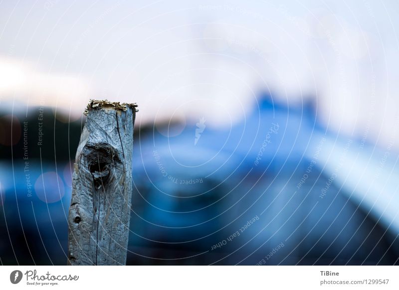 Augen(blick) Holz blau Farbe Pfosten Abenddämmerung Farbfoto Außenaufnahme Menschenleer Textfreiraum rechts Dämmerung Low Key Unschärfe Schwache Tiefenschärfe