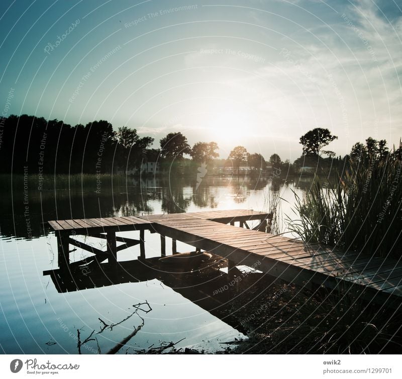 Verborgen Umwelt Natur Landschaft Pflanze Urelemente Wasser Himmel Horizont Schönes Wetter Baum Sträucher Anlegestelle Steg Holz leuchten glänzend Stimmung