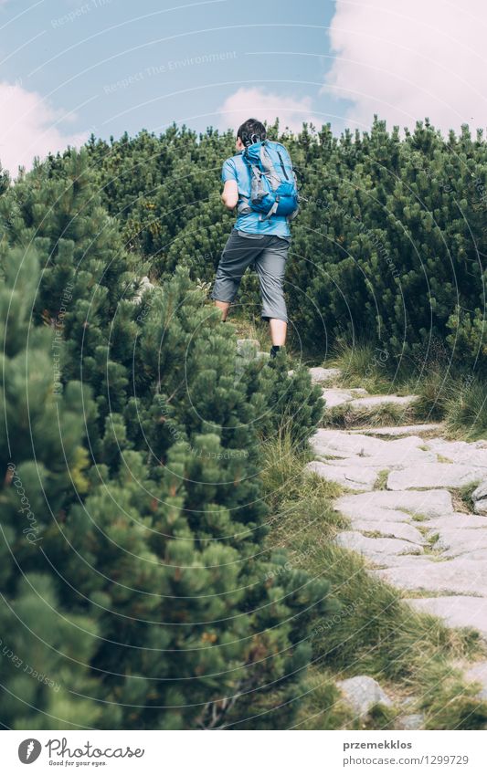 Junge, der unter der Zwergkiefer wandert Ferien & Urlaub & Reisen Ausflug Abenteuer Sommer wandern Natur Pflanze Felsen Stein grün Rucksack Latschenkiefer