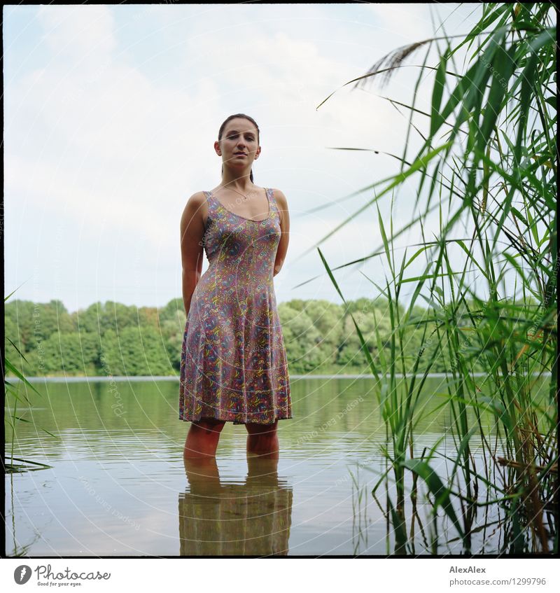 Nixe Schwimmen & Baden Ausflug Junge Frau Jugendliche 18-30 Jahre Erwachsene Natur Landschaft Pflanze Wasser Himmel Schönes Wetter Schilfrohr Baum See