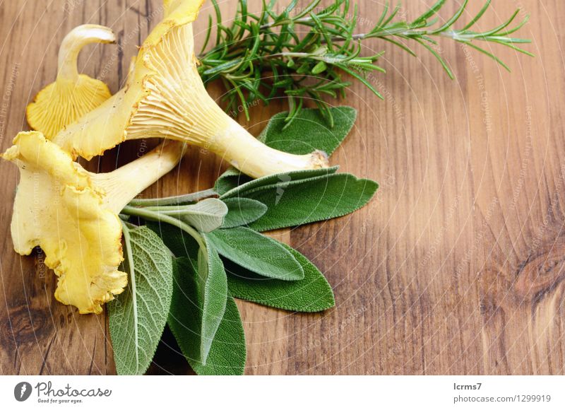 golden chanterelle mushrooms with sage and rosemary Lebensmittel Kräuter & Gewürze Pilz Bioprodukte Vegetarische Ernährung gelb chantarelle food healthy natural