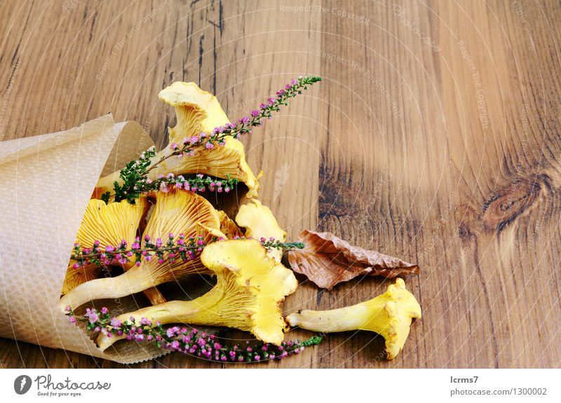 paper bag with golden canterelle and erica flower Lebensmittel Kräuter & Gewürze pilze gelb chantarelle food Bergheide heath heather healthy natural fresh