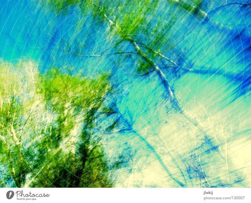 Verwischt fahren Autofahren Baum Frühling Jahreszeiten Himmel Wolken verzweigt durcheinander Allee Horizont Pflanze Geschwindigkeit Bewegungsunschärfe unterwegs