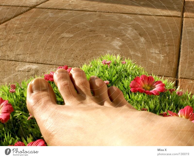 Balkonien Farbfoto Außenaufnahme Sommer Fuß Blume Gras Terrasse Glück Fröhlichkeit Ferien & Urlaub & Reisen Zehen Rasen gestellt Fliesen u. Kacheln Idee Barfuß