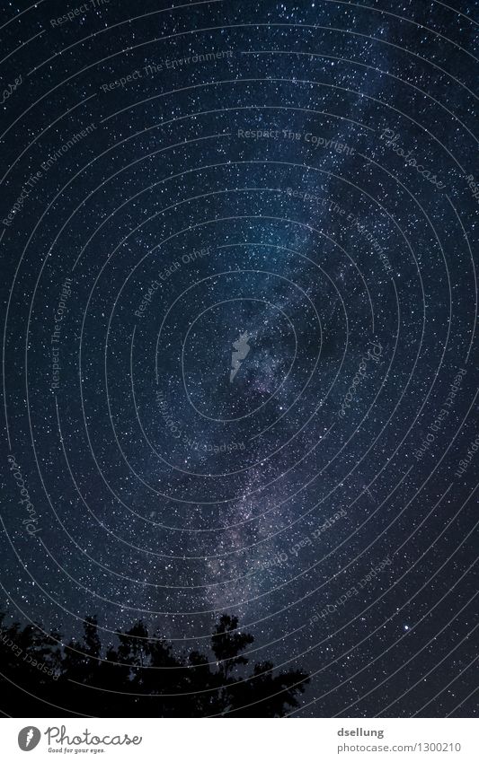 beam. Natur Landschaft Himmel Nachthimmel Stern Sommer Schönes Wetter außergewöhnlich dunkel fantastisch Ferne gigantisch Unendlichkeit kalt oben schön wild