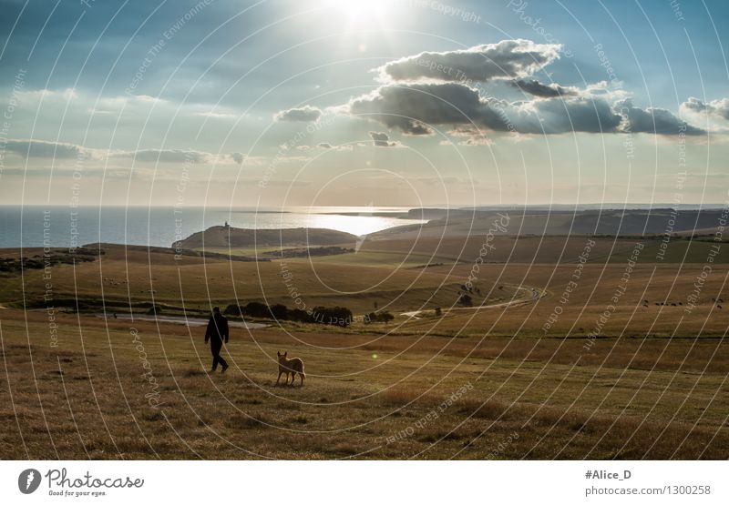 Spaziergang bis zum Horizont Ferien & Urlaub & Reisen Tourismus Ferne Freiheit Sommer Meer wandern 1 Mensch Natur Landschaft Urelemente Himmel Wiese Feld Küste