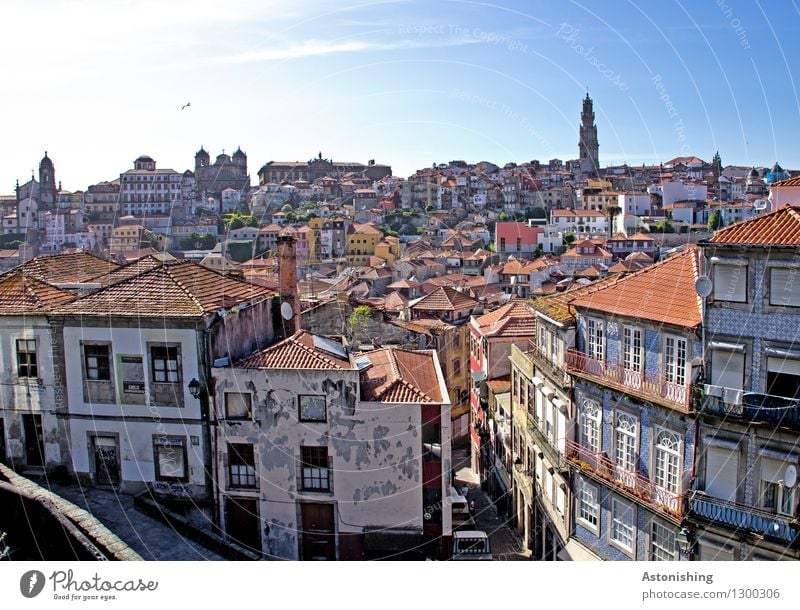 Porto I Himmel Wolkenloser Himmel Horizont Wetter Schönes Wetter Portugal Stadt Hauptstadt Hafenstadt Stadtzentrum Altstadt Haus Hochhaus Kirche Bauwerk Mauer