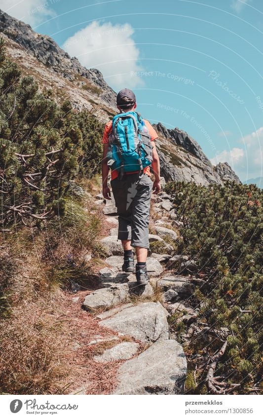 Junge, der alleine in den Bergen wandert Lifestyle Ferien & Urlaub & Reisen Ausflug Abenteuer Freiheit Sommer Sommerurlaub Berge u. Gebirge wandern Junger Mann