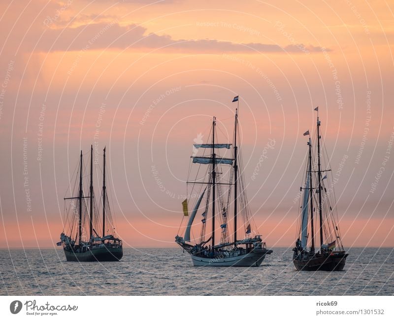 Segelschiffe auf der Hanse Sail Erholung Ferien & Urlaub & Reisen Tourismus Segeln Wasser Wolken Ostsee Schifffahrt maritim gelb rot Romantik Idylle Natur