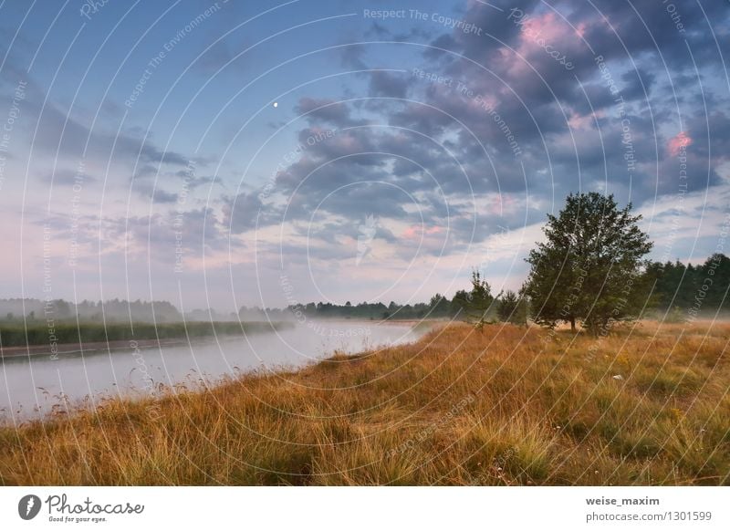 Dämmerung auf dem Fluss Shchara Natur Landschaft Pflanze Erde Wasser Himmel Wolken Schönes Wetter Nebel Baum Gras Sträucher Wiese Feld Wald Holz Rauch genießen