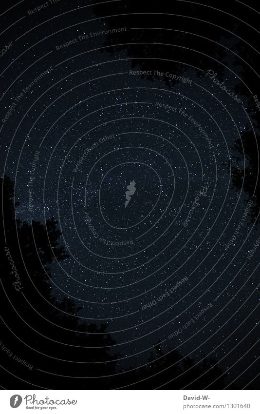 Gute N8 Natur Luft Himmel Nachthimmel Stern Mondfinsternis Sommer Schönes Wetter Wald beobachten schwarz Nachtlicht Sternenhimmel dunkel leuchten glänzend Ferne