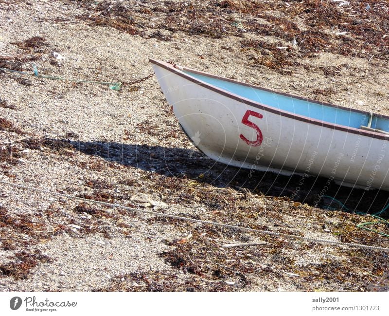 5 hat Pause... Strand Schifffahrt Bootsfahrt Ruderboot liegen alt einfach klein maritim trocken blau weiß Abenteuer Einsamkeit entdecken Erholung ruhig