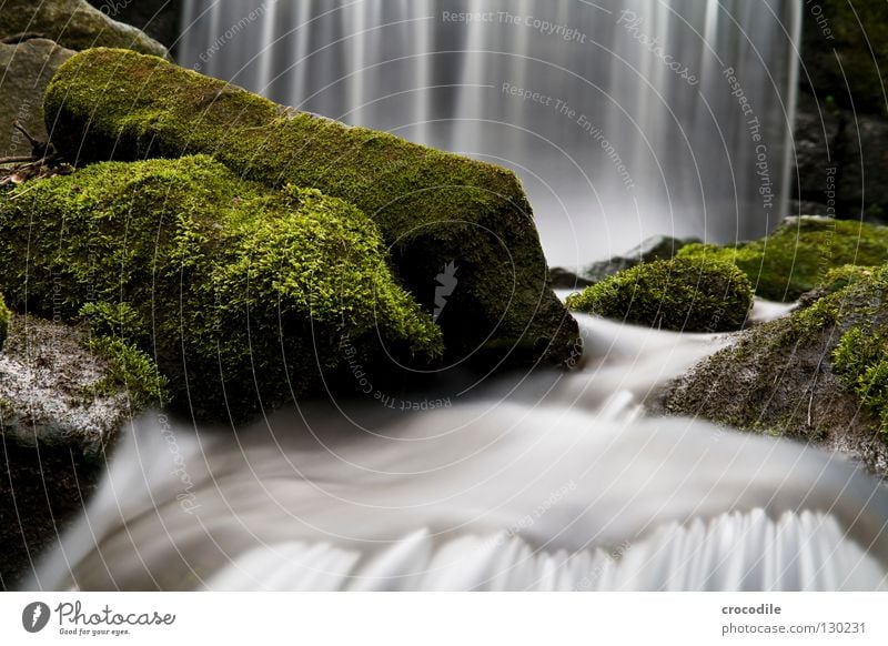 wasservorhang Bach Wasser bewachsen Wald Nebel nass Schwerkraft grün dunkel Langzeitbelichtung fließen Fluss fallen Wasserfall Felsen Stein Natur abstrakt