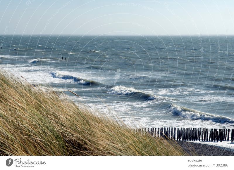 Kueste, Westkapelle, niederlande Strand Meer Wellen Landschaft Wasser Küste Nordsee Dorf Stadt blau Schutz Badestelle Blauer Himmel Buhnen Deich