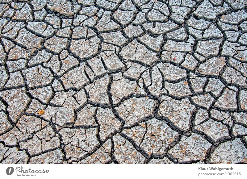 Mich dürstet Gartenarbeit Landwirtschaft Forstwirtschaft Umwelt Natur Landschaft Erde Sommer Klima Wärme Feld dehydrieren bedrohlich eckig grau orange schwarz