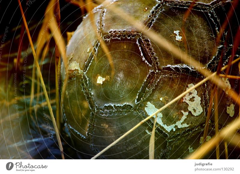 Verspielt Spielzeug verloren Gras Wiese kaputt Naht Sechseck trist Farbe Freizeit & Hobby Ball verstecken schäbig Fußball abblättern verwittert bewachsen alt