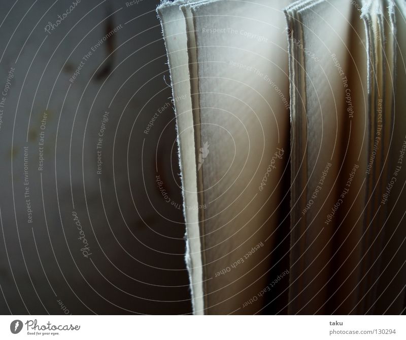 EMPTY BOOK I Buch Gedicht weiß träumen Gedanke Spielen Eindruck Ereignisse Teilung handgeschöpftes papier mit pflanzen schreiben Erzählung