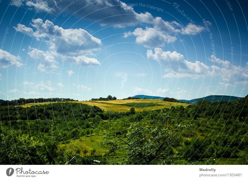 Eine schöne Aussicht Freiheit Sommer Natur Landschaft Himmel Wolken Horizont Baum Gras Wiese Wald Hügel Dorf frisch hell natürlich blau grün Stimmung Farbe