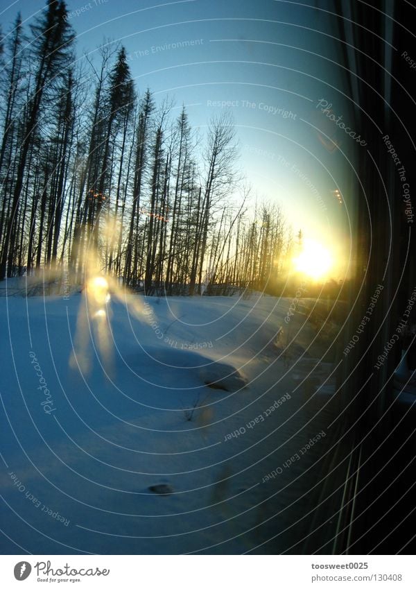 Ice flower caught in the sunrise Winter Schnellzug Kanada Himmelskörper & Weltall Frost train