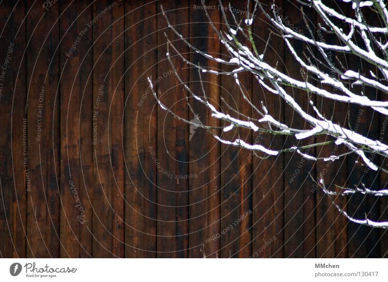 Vor der Bretterwand Holz Holzwand Schnee Langeweile vertikal Winter Holzhütte Holzhaus Hütte braun weiß Holzbrett Ast Zweig Holzwurm Brett vorm Kopf