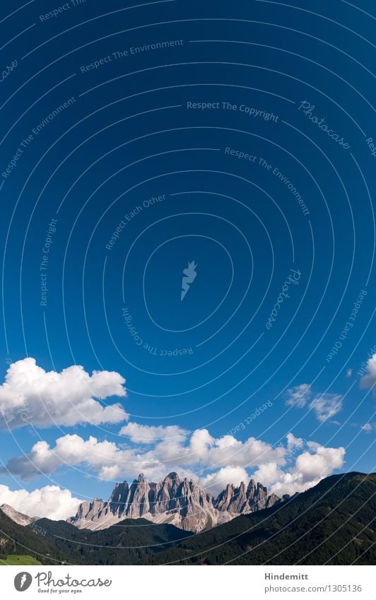 Geisler Umwelt Natur Landschaft Himmel Wolkenloser Himmel Sommer Wiese Wald Hügel Felsen Alpen Berge u. Gebirge Dolomiten Gipfel Ferne hoch wild blau grau grün