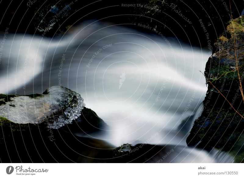 Soft schön Berge u. Gebirge Landschaft Wasser Bach Wasserfall kalt weich Wildbach Schwarzwald Schauinsland Mittelgebirge graufilter Langzeitbelichtung