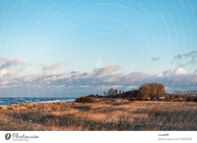 Blick auf die Ostseeküste Erholung Ferien & Urlaub & Reisen Strand Meer Wellen Natur Landschaft Wasser Sturm Küste Holz Romantik Idylle Tourismus Buhnen Düne