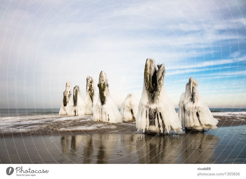 Winter an der Ostseeküste Erholung Ferien & Urlaub & Reisen Strand Meer Natur Landschaft Wasser Wolken Küste Holz kalt blau weiß Romantik Idylle Buhne Eis