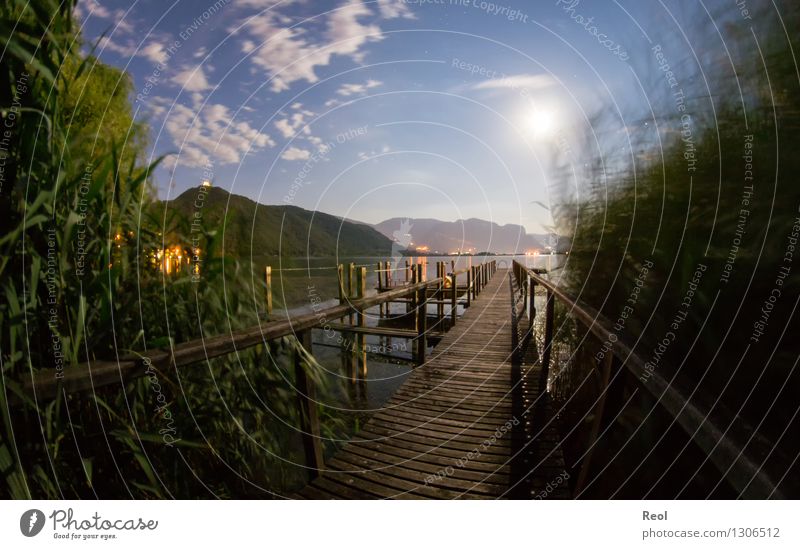 Nächtlicher Steg II Ferien & Urlaub & Reisen Abenteuer Ferne Natur Landschaft Urelemente Wasser Nachthimmel Vollmond Schilfrohr Hügel Alpen Berge u. Gebirge See