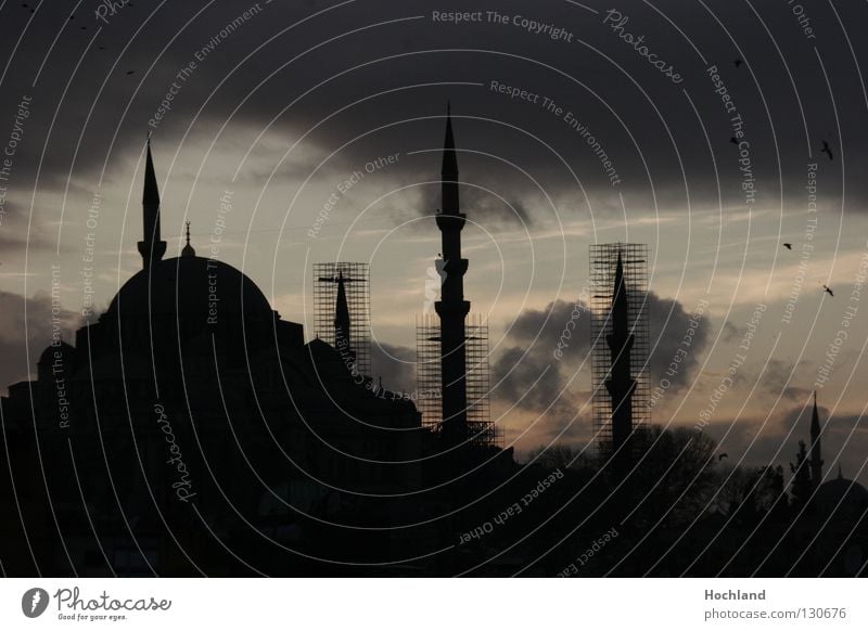 Moschee am Abend, Islam im Aufbruch Istanbul Minarett Kuppeldach Gebet Wolken Abenddämmerung Nacht Allah Türkei Bosporus Basar Goldenes Horn Vogel Stadt Moslem