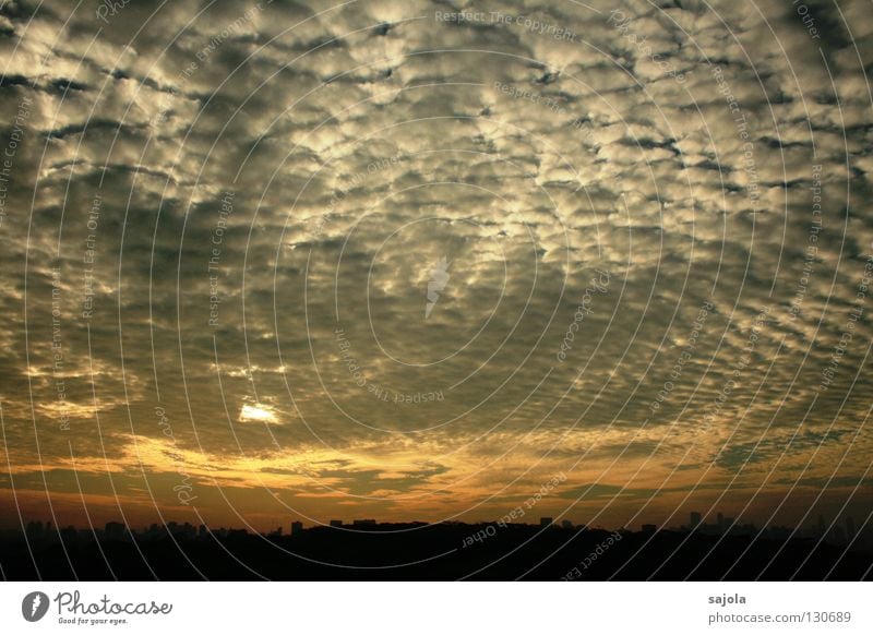 schäfchen zählen Sonne Himmel Wolken Horizont Sonnenlicht Wetter Baum Singapore Asien Südostasien Skyline ästhetisch Altokumulus floccus vorhersagen Aussicht