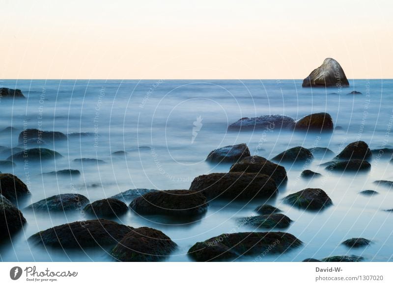 -schleierhaft- Umwelt Natur Landschaft Urelemente Wasser Wolkenloser Himmel Herbst Winter Schönes Wetter schlechtes Wetter Nebel Küste Bucht Nordsee Ostsee Meer